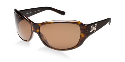 Buy Dolce and Gabbana DD3020B, see details about these sunglasses and more