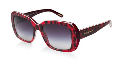 DG4101 $260.00