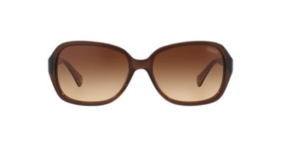 NEW SUNGLASSES COACH BEATRICE HC8019 in Brown eBay