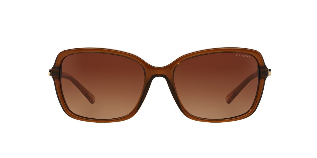 Coach HC8152 57 Brown & Brown Polarized Sunglasses Sunglass Hut USA