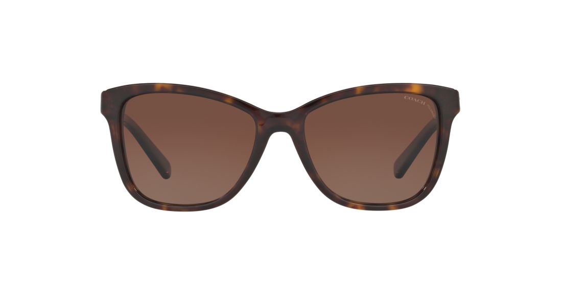 Coach HC8187B 54 Brown & Tortoise Polarized Sunglasses Sunglass Hut USA