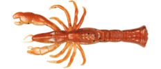Berkley Gulp! Ghost Shrimp - New Penny