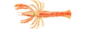 Berkley Gulp! Ghost Shrimp - Natural w/Sparkle