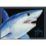 Guy Harvey Tuna Doormat
