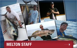 Careers at Melton International Tackle