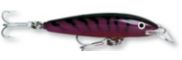 Rapala CD Magnum shown in Purple Mackerel