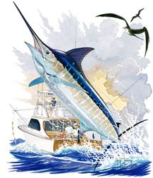 Ladies Leggings - Guy Harvey – Guy Harvey