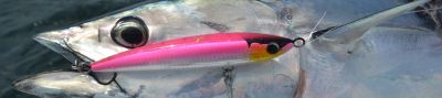 Shimano Orca Jigs