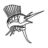 Sailfish