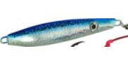 Blue Mackerel, rigged, angled right side shot
