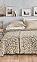 Fossil Leaf Blanket