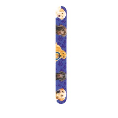 A product thumbnail of ASP Nail File With Dog or Cat Print