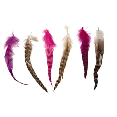 A product thumbnail of Inkahoots Professional Natural Feather Extension Set