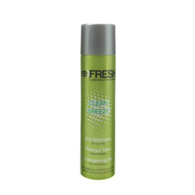 A product thumbnail of ReFresh Dry Shampoo