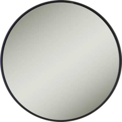 A product thumbnail of Zadro 10X Spot Mirror with Suction Cups