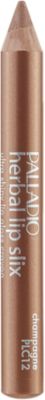 A product thumbnail of Palladio Lip Slix