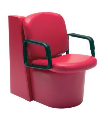 A product thumbnail of Chameleon Dryer chair