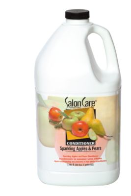 A product thumbnail of Salon Care Conditioner