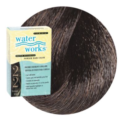 A product thumbnail of Waterworks Permanent Powder Hair Color