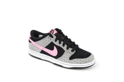 Womens Nike Dunk Low Skinny Print