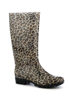 Click here to view larger image