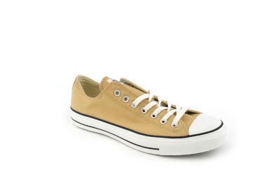 Tan Canvas