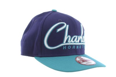 Charlotte Hornets Cap
