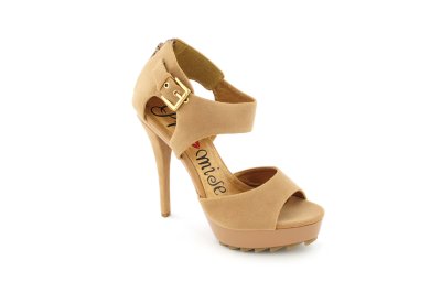 Camel