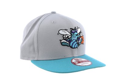 Charlotte Hornets Cap