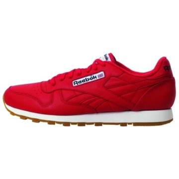  Classic Leather Clean
