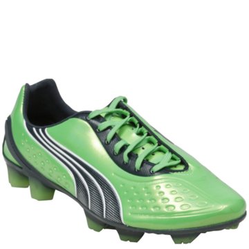 Puma v1.11 SL - 102324-01