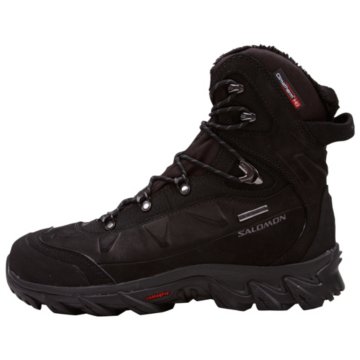 Salomon Nytro WP