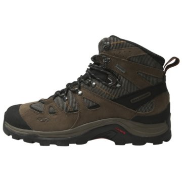  Discovery GTX M