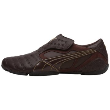 Puma Tech MA