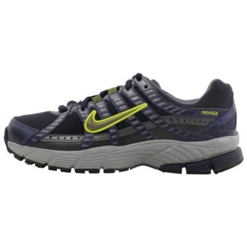 Nike Air Pegasus 2007