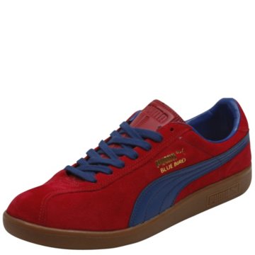 Puma Bluebird - 351962-03
