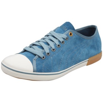 Puma Laube
