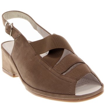 Ara Rumor - 37034-81