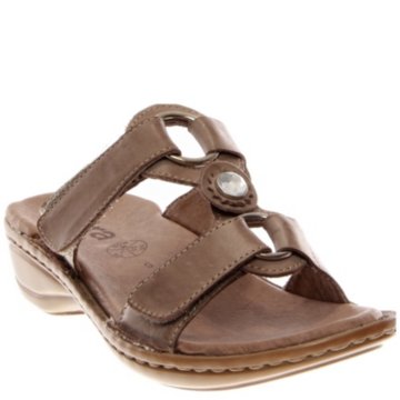 Ara Henrietta - 37273-86