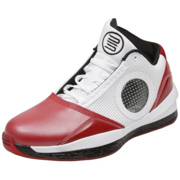 Nike Air Jordan 2010