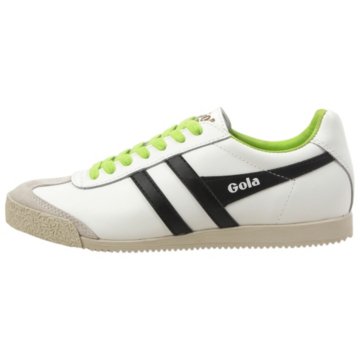 Gola Harrier