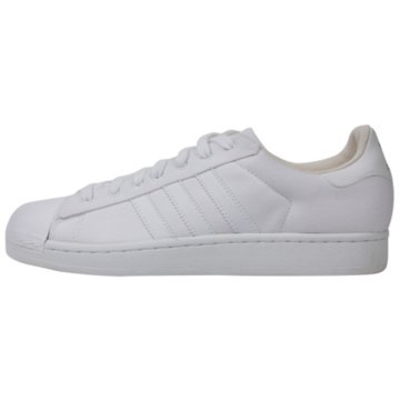 Superstar Canvas LTO