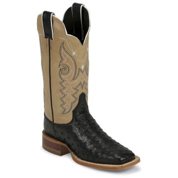  Justin AQHA Black Full Quill Ostrich