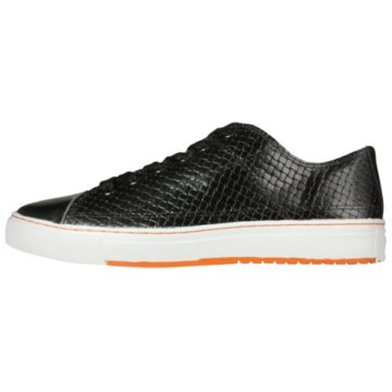 PF Flyers Albin