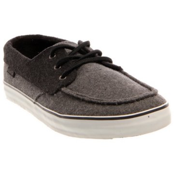 DVS Seanile