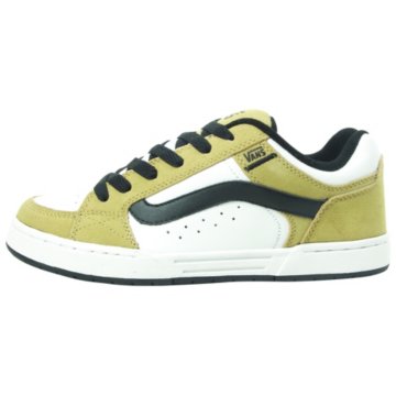 Vans Skink