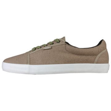 Vans Srpls