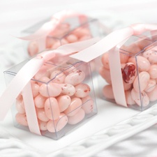 Clear Favor Boxes
