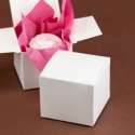 Large White Cake Box - Blank