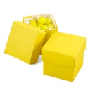 Yellow Favor Boxes (2-Piece) - Blank